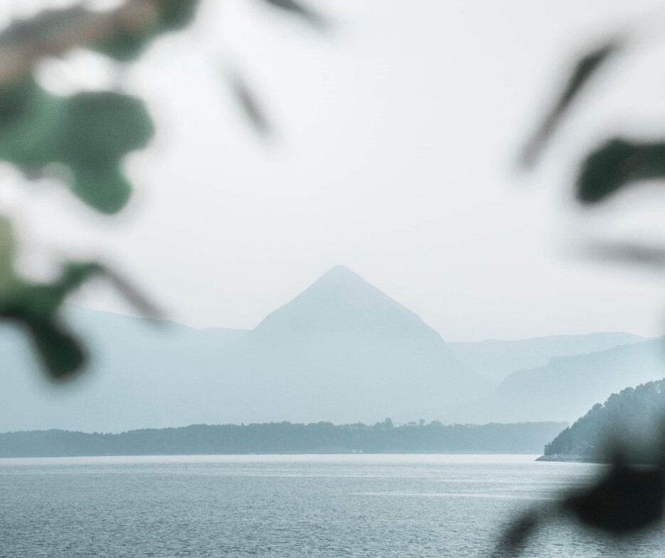 best perinatal therapist near me