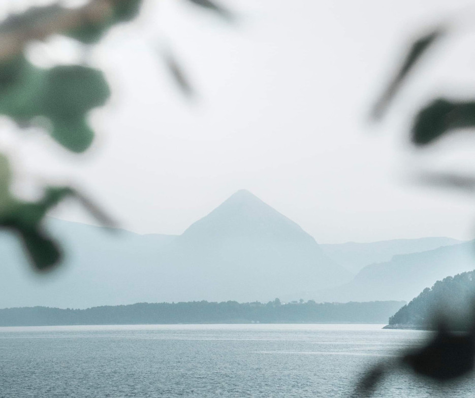 best perinatal therapist near me