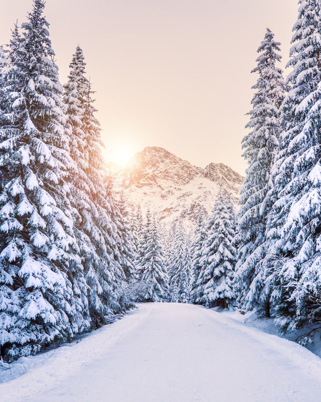 best depression therapist