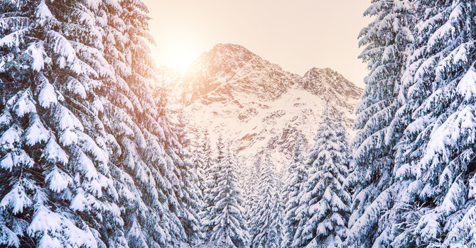 Managing Symptoms of Depression in the Winter: Practical Tools to Help You Feel More Grounded image