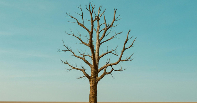 Survival Mode: Why You Feel Stuck and How to Start Feeling Like Yourself Again