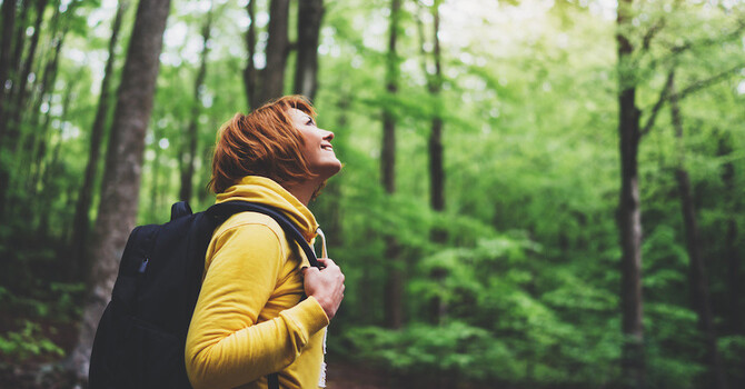 Coping with Life Transitions: How Therapy Supports Change image