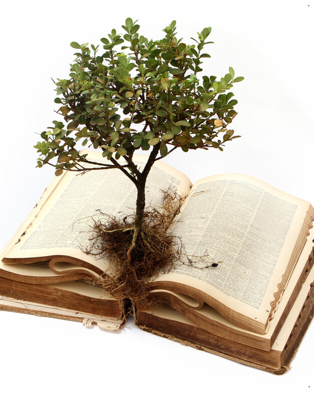 trauma-informed therapy