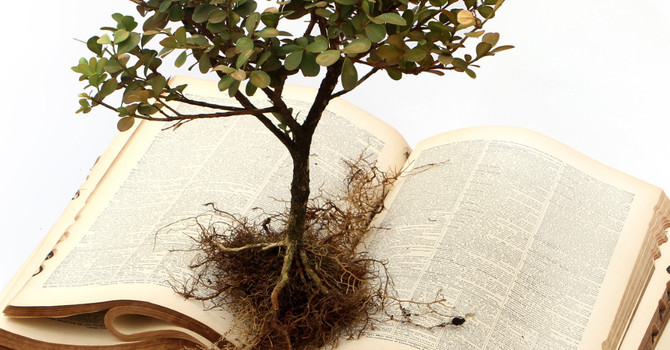 What It Means to Work with a Trauma-Informed Therapist image