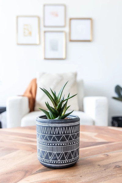 ocd therapist burlington